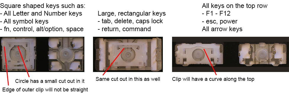 Clip Style Pic