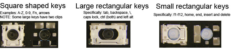 Clip Style Pic