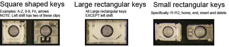 Clip Style Pic