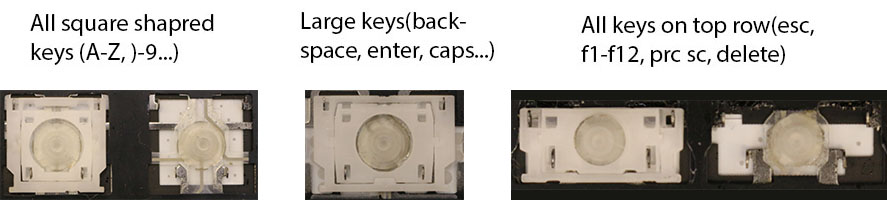 Clip Style Pic
