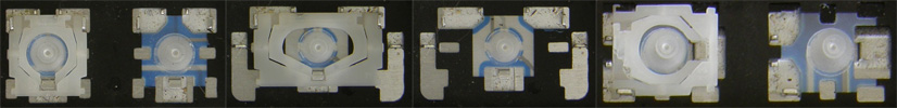 Clip Style Pic